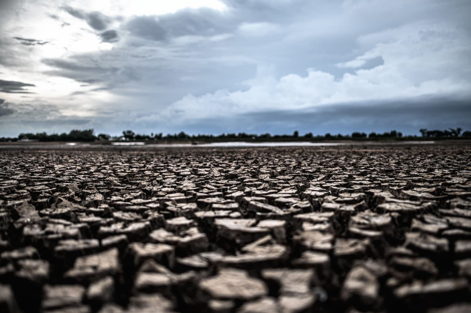 Drought